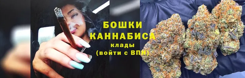 Бошки марихуана Bruce Banner  Цоци-Юрт 